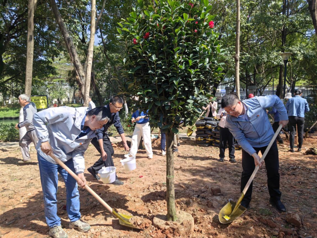 植树.png